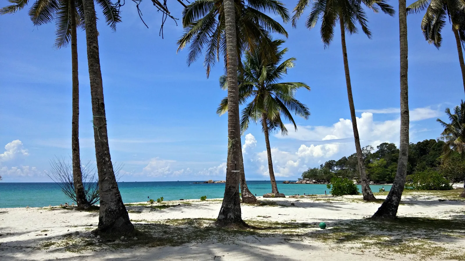 Pohon kelapa, pasir putih, dan laut di Pantai Trikora, Kabupaten Bintan